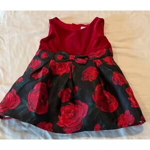The Children’s Place Girls 12-18M Black & Red Floral velvet roses Holiday Dress
